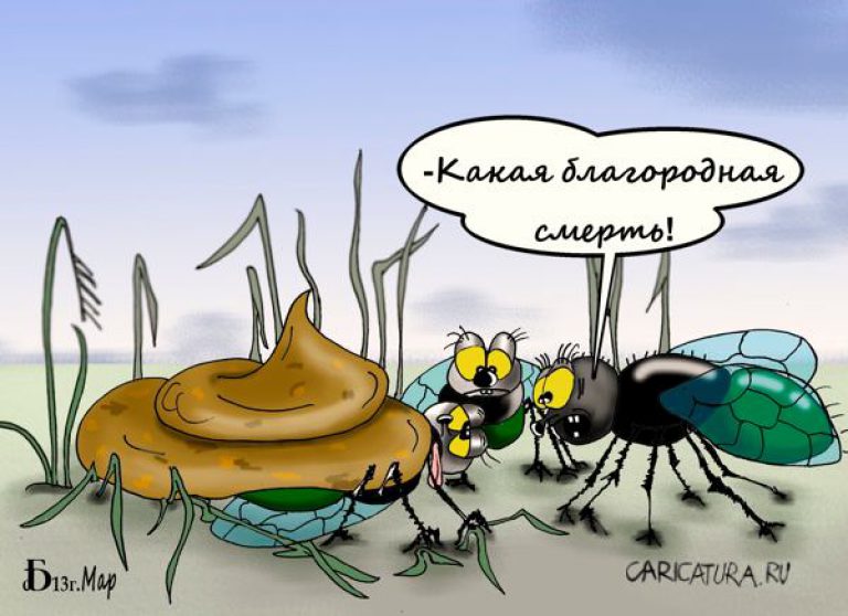 Кто же выиграл спор муравей соломинка. Насекомые карикатура. Муха прикол. Муха карикатура. Прикол про муху.