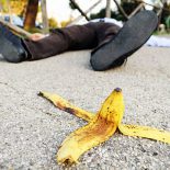 <h1>Банановая корка для мэра</h1> <h3>Почему Владимир Панов подскользнулся на зоопарке?</h2>
